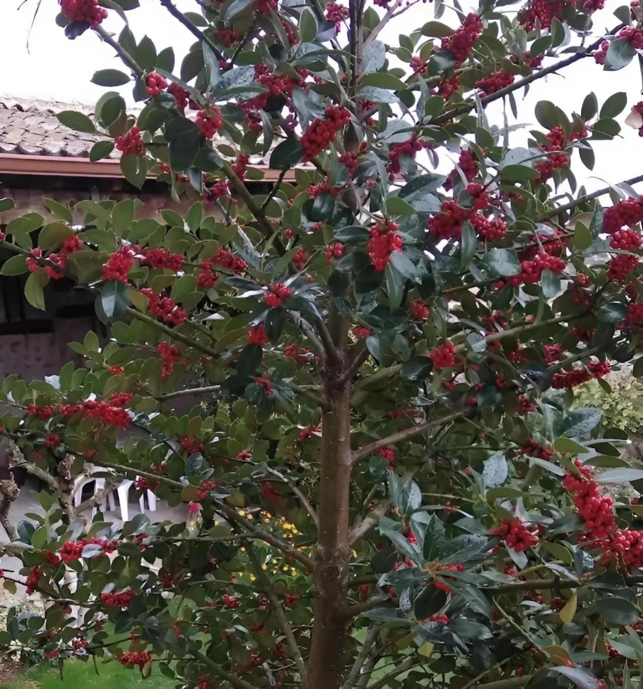 Casa Rural El Fresno Del Abuelo La Cuesta  外观 照片